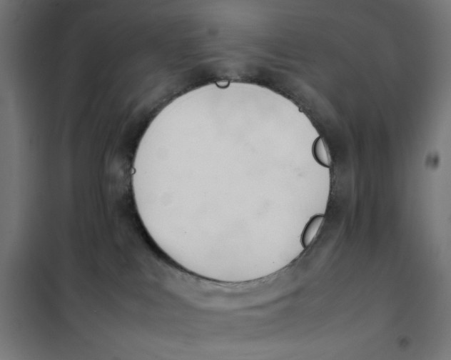 X0000101660043200808071031