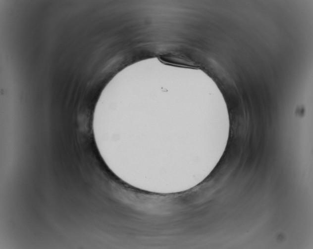 X0000101660044200808071031