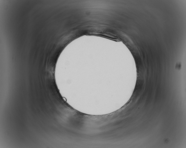 X0000101660045200808071031