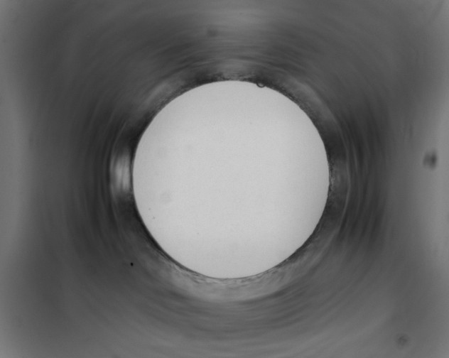 X0000101660046200808071031