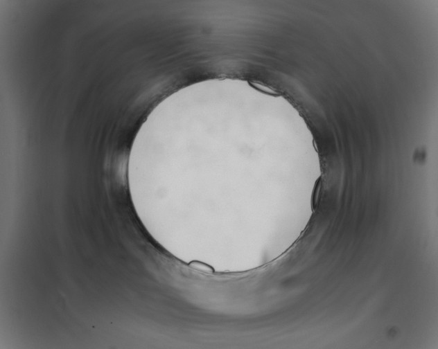 X0000101660047200808071031