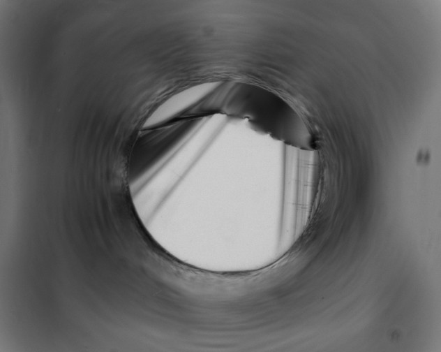 X0000101660048200808071031