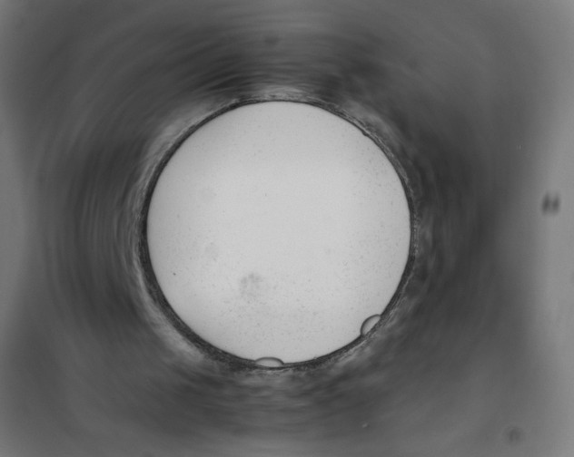 X0000101660049200808071030