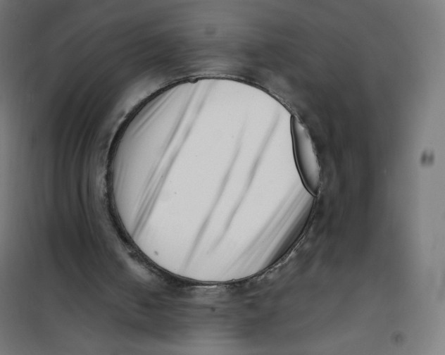 X0000101660050200808071030