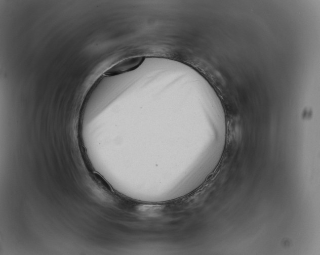 X0000101660051200808071030