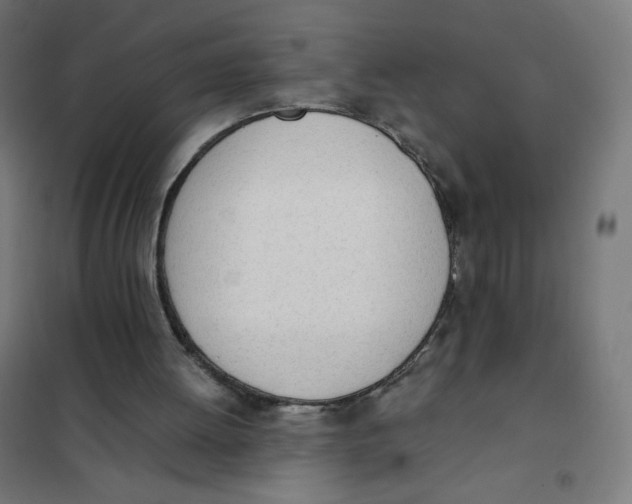 X0000101660052200808071030