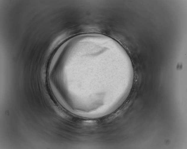 X0000101660053200808071030