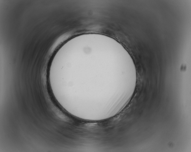 X0000101660054200808071030