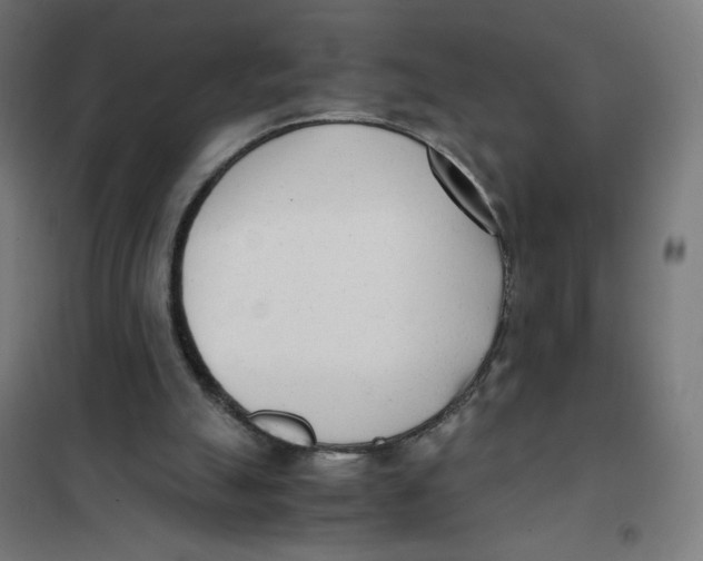 X0000101660055200808071030