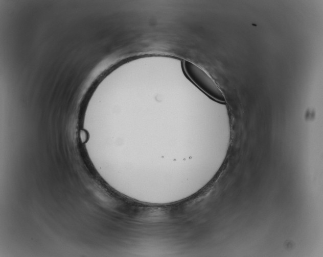 X0000101660056200808071030