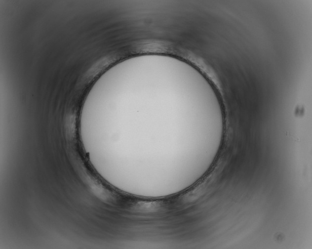 X0000101660057200808071030