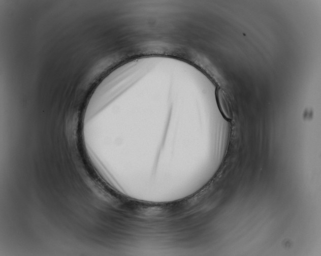 X0000101660058200808071030