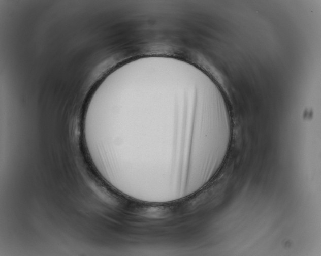 X0000101660059200808071030