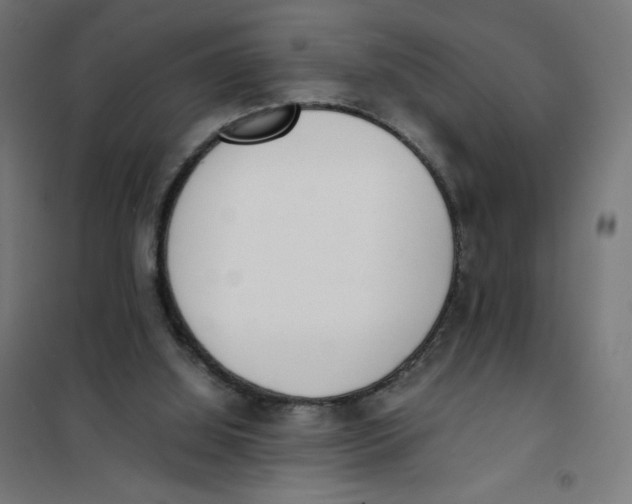 X0000101660060200808071030