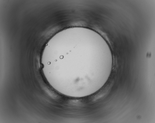 X0000101660061200808071030