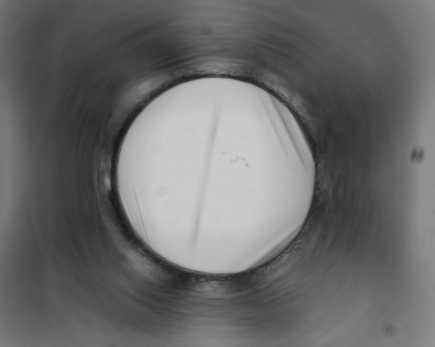 X0000101660062200808071030