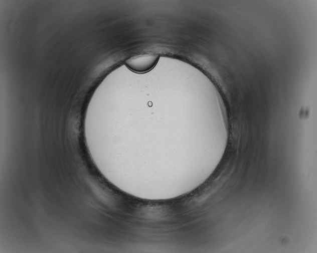 X0000101660063200808071030