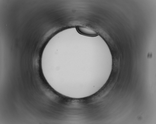 X0000101660064200808071030