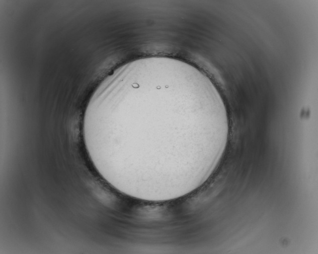 X0000101660065200808071030