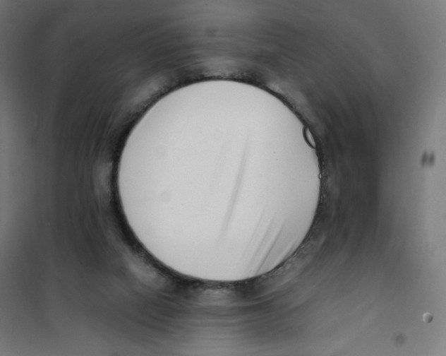 X0000101660066200808071030