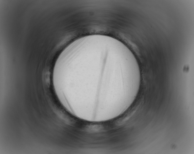X0000101660067200808071030