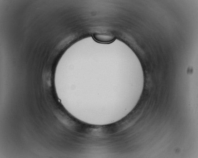 X0000101660068200808071030