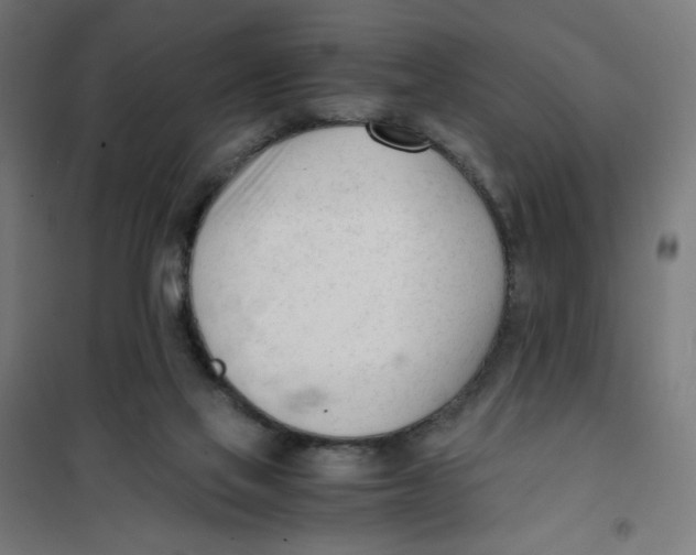 X0000101660069200808071030