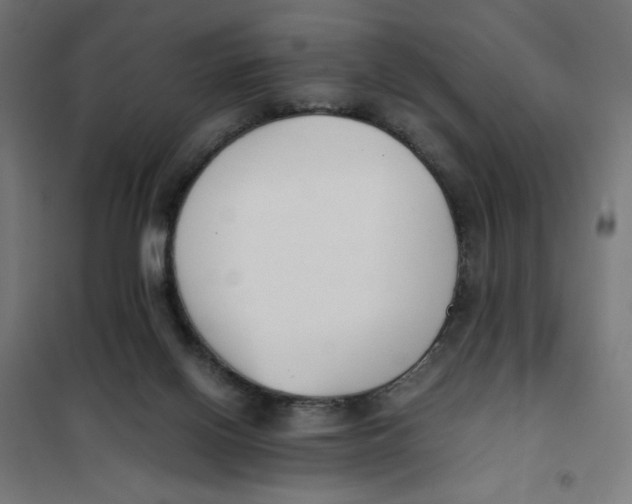X0000101660070200808071030