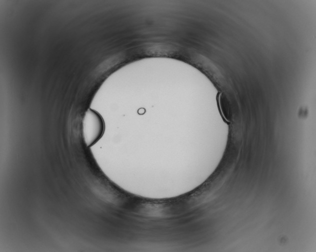 X0000101660071200808071030
