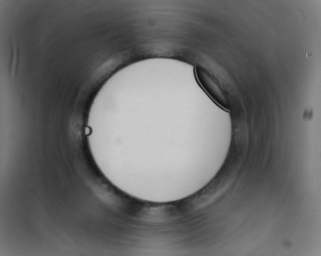 X0000101660072200808071030