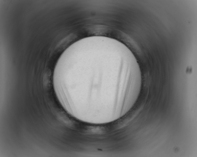 X0000101660073200808071030