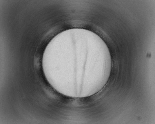 X0000101660074200808071030