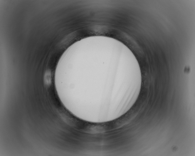 X0000101660075200808071030