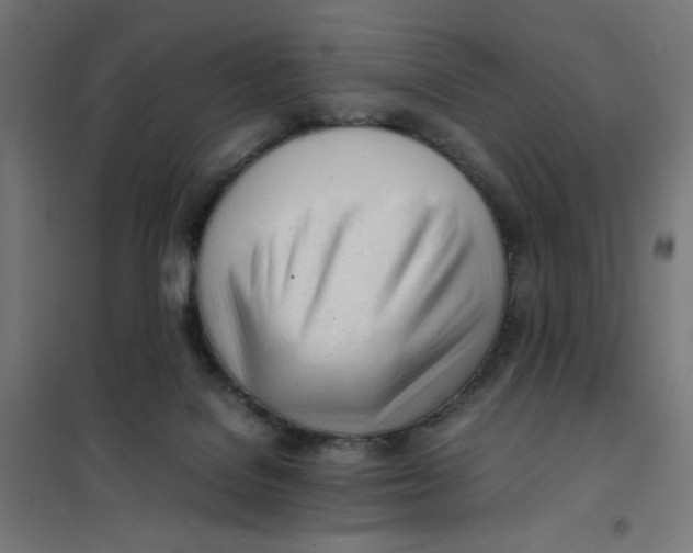 X0000101660076200808071030