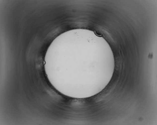 X0000101660077200808071031