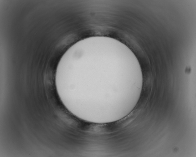 X0000101660078200808071031