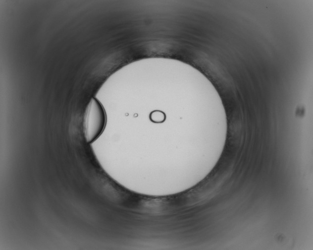 X0000101660079200808071031