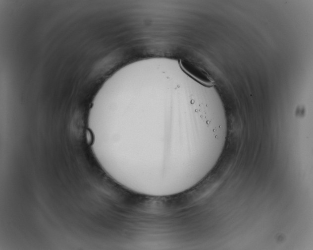 X0000101660080200808071031