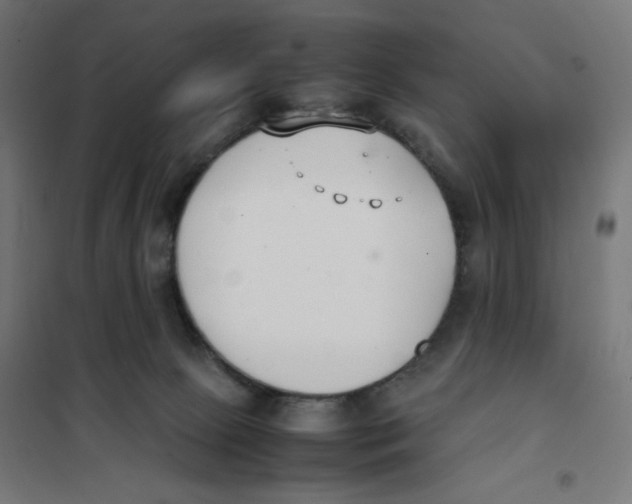 X0000101660081200808071031