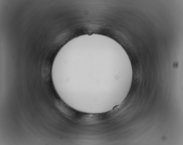 X0000101660082200808071031