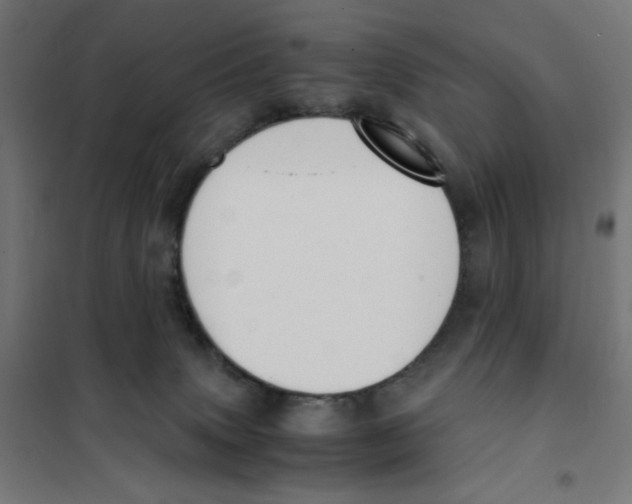 X0000101660083200808071031