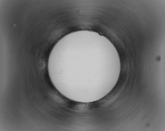 X0000101660084200808071031