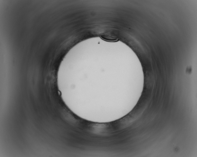 X0000101660085200808071031