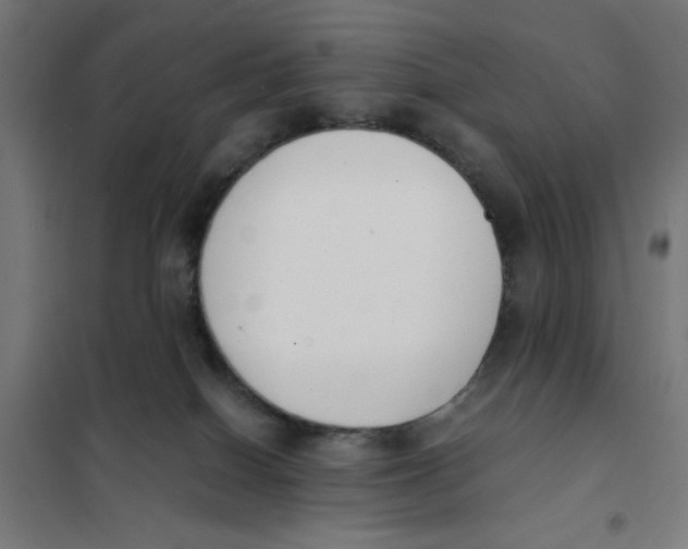 X0000101660086200808071031