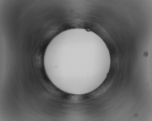 X0000101660088200808071031