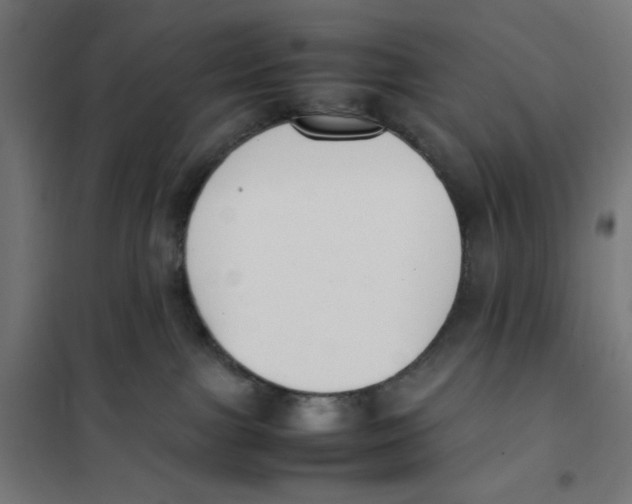 X0000101660091200808071031