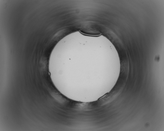 X0000101660092200808071031