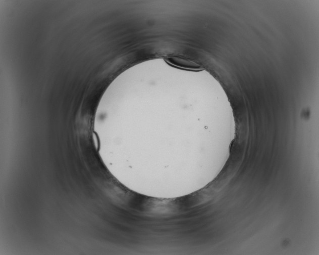 X0000101660093200808071031