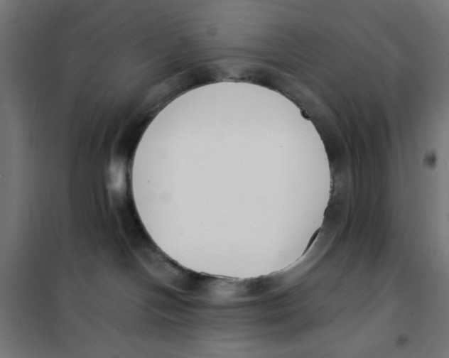 X0000101660094200808071031