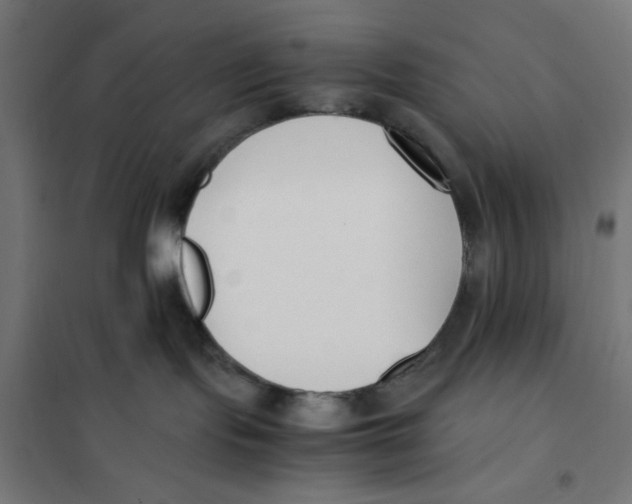 X0000101660095200808071031